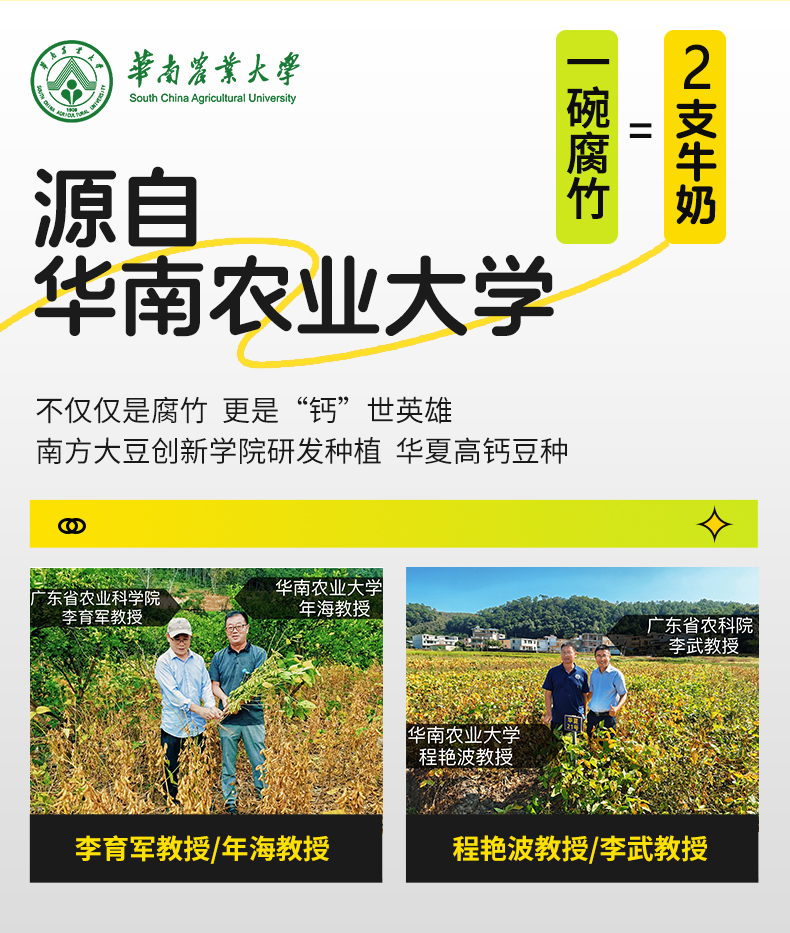 Bean Curd Sticks for Kids