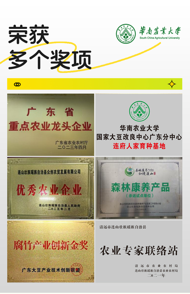 Bean Curd Sticks for Kids