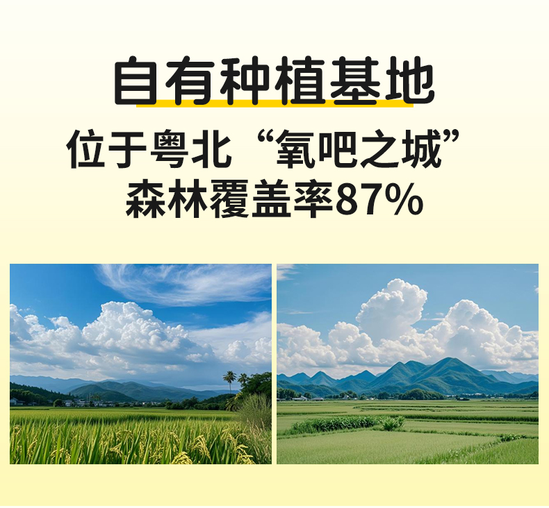 Bean Curd Sticks for Kids